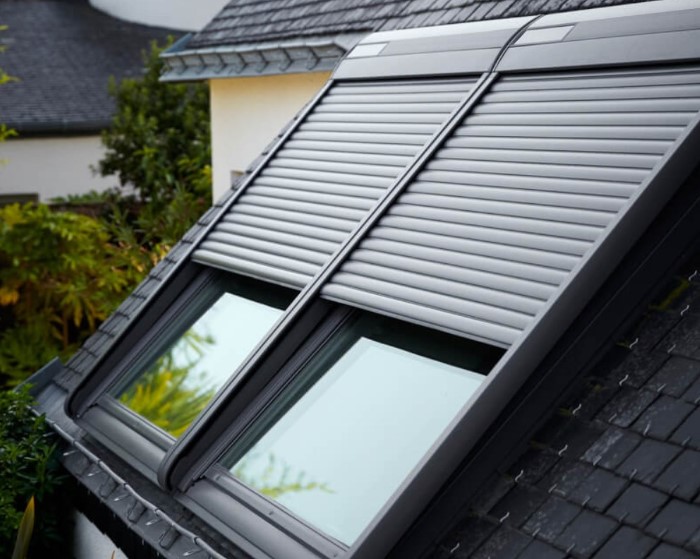 volet velux fenêtres